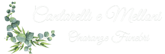 Website Logo